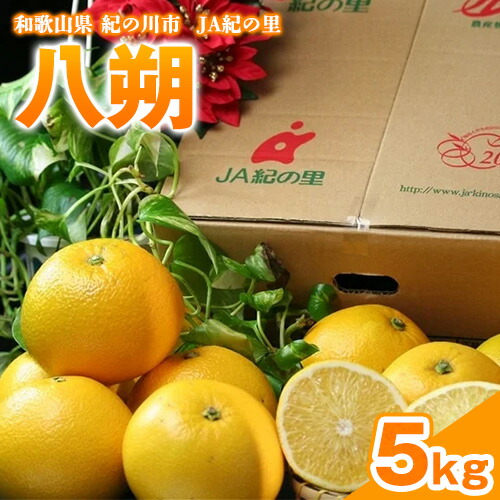 【ふるさと納税】八朔約5kg(3L-Lサイズ) 【先行予約】JAわかやま 紀の里地域本部 《2026年1月上旬-3月末頃出荷》 和歌山県 紀の川市 果物 フルーツ 柑橘 はっさく