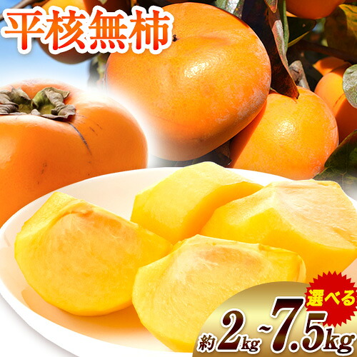 【ふるさと納税】【先行予約】ひらたねなし柿 選べる 内容量 約2kg 4-9玉 約4kg 8-19玉 約7.5kg 24-36玉 岸武青果株式会社《2026年10月中旬-2026年12月上旬頃出荷》 和歌山県 紀の川市 柿 カキ かき 平核無柿 種なし 果物 フルーツ 送料無料