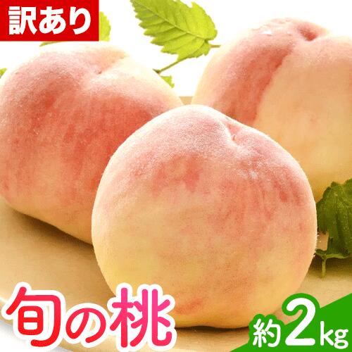 【ふるさと納税】訳あり 和歌山の桃 約2kg (約6-9玉入) 岸武青果株式会社《2025年6月下旬-8月末頃出荷》 和歌山県 紀の川市 桃 ご家庭用 もも モモ 果物 フルーツ