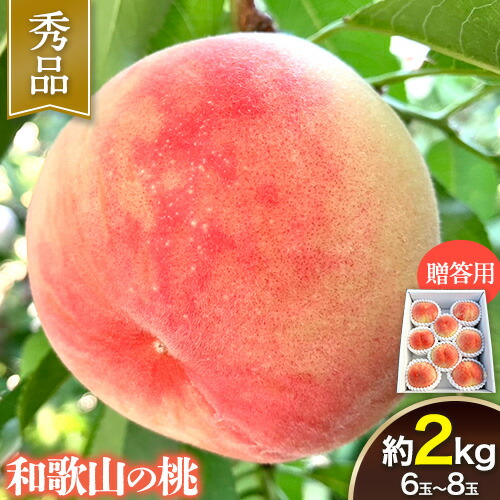 【ふるさと納税】 【贈答用/熨斗非対応】 秀品 和歌山の桃 約2kg (6玉~8玉) m&n果実園 【配送不可地域あり】 《2025年6月中旬-7月下旬頃出荷》和歌山県 紀の川市 モモ 桃 もも 旬 白鳳 日川白鳳 なつっこ 果物 フルーツ 贈り物 ギフト