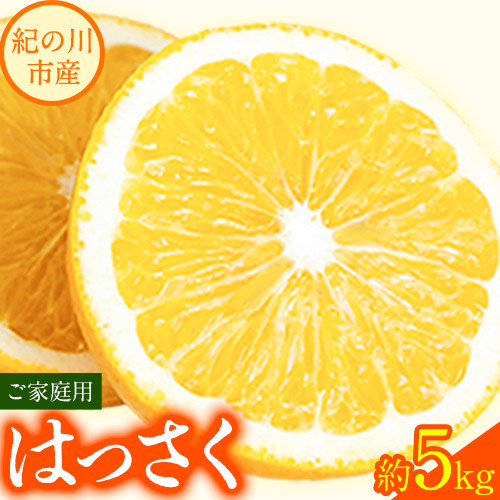 【ふるさと納税】【先行予約】八朔 約5kg ご家庭用 ｍ＆ｎ果実園《2026年1月下旬-3月中旬頃出荷》和歌山県 紀の川市 果物 はっさく フルーツ  柑橘類 送料無料