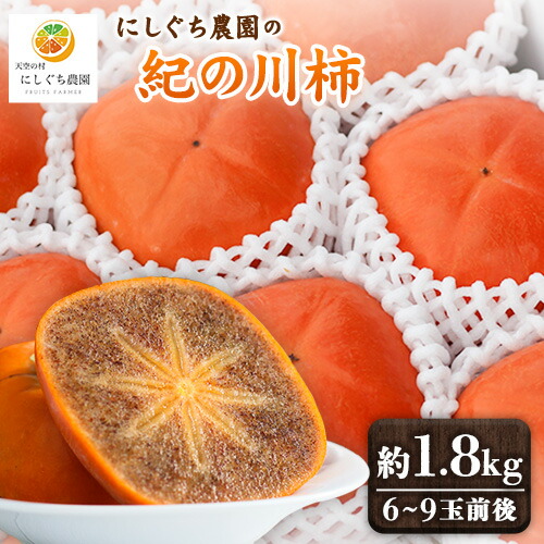【ふるさと納税】紀の川柿 約1.8kg(6個～9個入り) 和歌山県特産果肉の黒い柿！秀品にしぐち農園《10月下旬-10月末頃出荷》和歌山県 紀の川市 産地直送