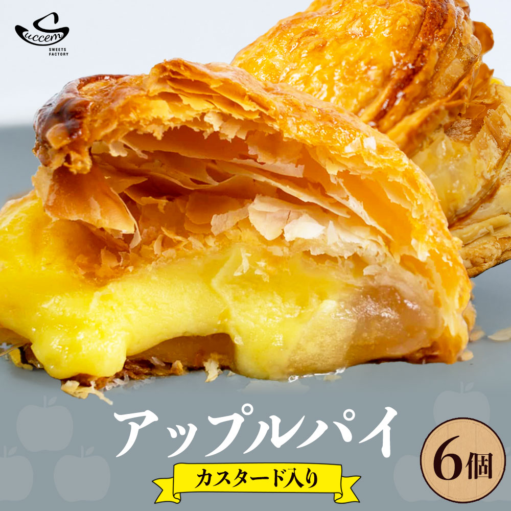 【ふるさと納税】アップルパイ カスタード入り 6個入り (1箱)《30日以内に出荷予定(土日祝除く)》和歌山県 紀の川市 サクセム株式会社 焼き菓子 アップル りんご パイ カスタード