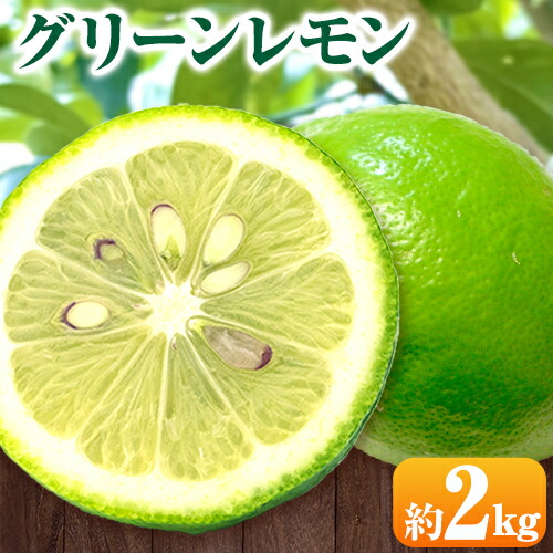 【ふるさと納税】グリーンレモン 約2kg ときわオンライン《2025年10月上旬-2月末頃出荷》 柑橘 和歌山県 紀の川市 フルーツ 果物 レモン グリーンレモン 檸檬 送料無料