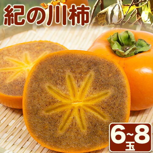 【ふるさと納税】【先行予約】紀の川柿 6-8玉入 約1.8kg ときわオンライン《2025年10月上旬-12月中旬頃出荷》和歌山県 紀の川市 平核無柿 ひらたねなしがき