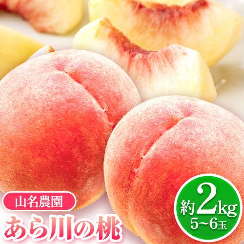 【ふるさと納税】 あら川の桃 約2kg 5-6玉 山名農園 《2025年6月下旬-8月下旬頃出荷》 和歌山県 紀の川市 桃 もも モモ 白鳳 白桃 フルーツ 果物 送料無料