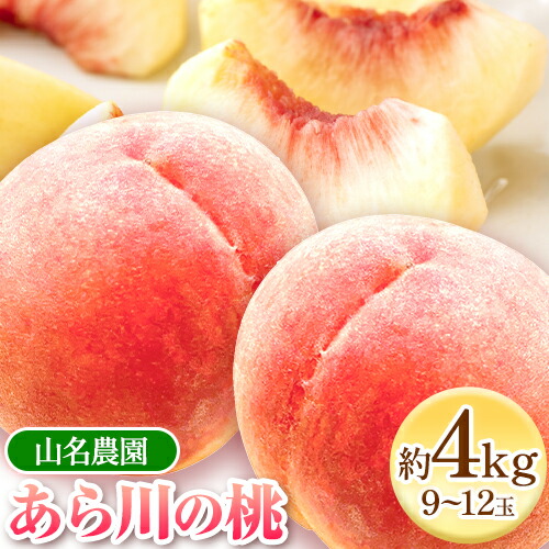 【ふるさと納税】 あら川の桃 約4kg 9-12玉 山名農園 《2025年6月下旬-8月下旬頃出荷》 和歌山県 紀の川市 桃 もも モモ 白鳳 白桃 フルーツ 果物 送料無料