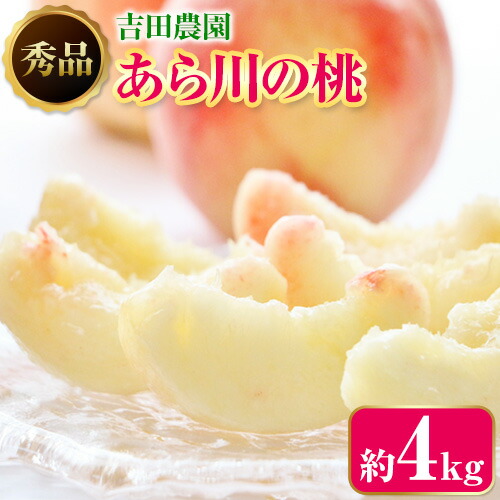 【ふるさと納税】あら川の桃 約4kg 秀品 吉田農園《2025月年6月下旬-8月下旬頃出荷》 和歌山県 紀の川市 桃 もも モモ 白鳳 清水白桃 川中島白桃 あら川の桃 送料無料