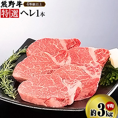 【ふるさと納税】「熊野牛」 特選ヘレ 4等級以上 一本(二分割) あるいは 2cmカット(端切り落とし) 株式会社松源《日30以内に出荷予定(土日祝除く)》和歌山県 岩出市