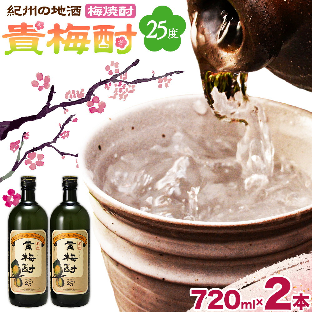 【ふるさと納税】紀州の地酒 貴梅酎 きばいちゅう 25度 720ml×2本 エバグリーン 中野BC株式会社《30日以内に出荷予定(土日祝除く)》和歌山県 岩出市 酒 お酒 地酒 梅焼酎