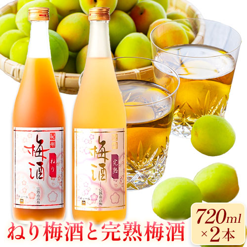 【ふるさと納税】紀州完熟南高梅 濃厚 ねり梅酒と芳醇 完熟梅酒 720ml×各1本 酒のねごろっく《30日以内に出荷予定(土日祝除く)》和歌山県 岩出市 吉村秀雄商店 酒 梅酒 リキュール 飲み比べ 紀州 ねり梅酒 完熟梅酒 南高梅 720ml 1440ml 送料無料|和歌山県岩出市