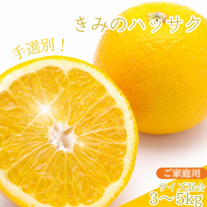 【ふるさと納税】新鮮！はじける食感！「きみのハッサク」3kg～5kg サイズ L~2L ご家庭用(秀優混合) ※2027年2月上旬～3月上旬に順次発送 / 八朔 柑橘 和歌山県 手選別｜和歌山県紀美野町