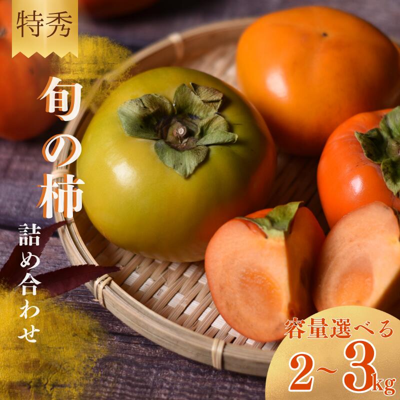 【ふるさと納税】 【☆令和7年産☆先行予約】 旬の 柿 詰め合わせ 【特秀】〈選べる容量 2kg 3kg 〉紀州和歌山産  【2025年10月上旬～11月下旬に順次発送】《 レビューキャンペーン 実施中 ! 》/  詰め合わせ 柿 3kg 甘い 太秋柿 紀ノ川柿 富有柿 早秋柿 2kg 珍しい 希少