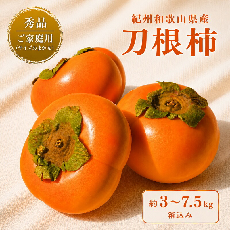 【ふるさと納税】 刀根柿 秀品 約 3kg ～ 約 7.5kg / カキ 甘い 種なし 美味しい 秋の味覚 和歌山県 紀美野町 ※2026年9月下旬～10月上旬に順次発送｜和歌山県紀美野町