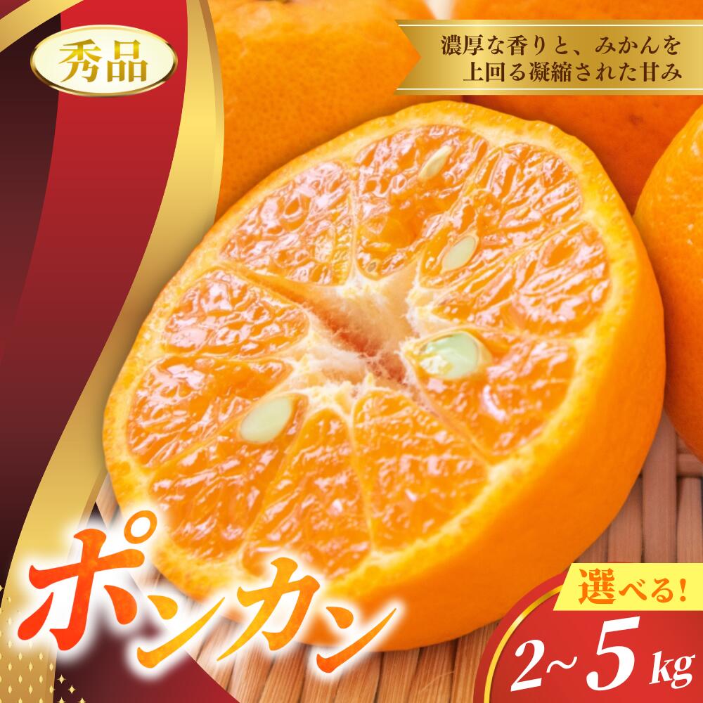 【ふるさと納税】 ポンカン 2kg 5kg 秀品【S~2Lのサイズおまかせ】【2026年10月中旬～2027年1月下旬までに順次発送】＜味好農園＞ 6000円 10000円 / 柑橘 和歌山県 有機 みかん ミカン ぽんかん