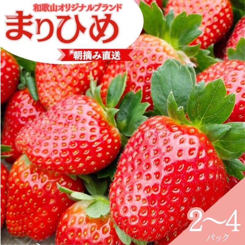 【ふるさと納税】【先行予約】特大まりひめ いちご 朝摘 【選べるパック数】2パック 4パック / 2026年1月中旬～3月末頃に順次発送予定（お届け日指定不可）/ いちご 苺 まりひめ 和歌山 フルーツ 果物 くだもの