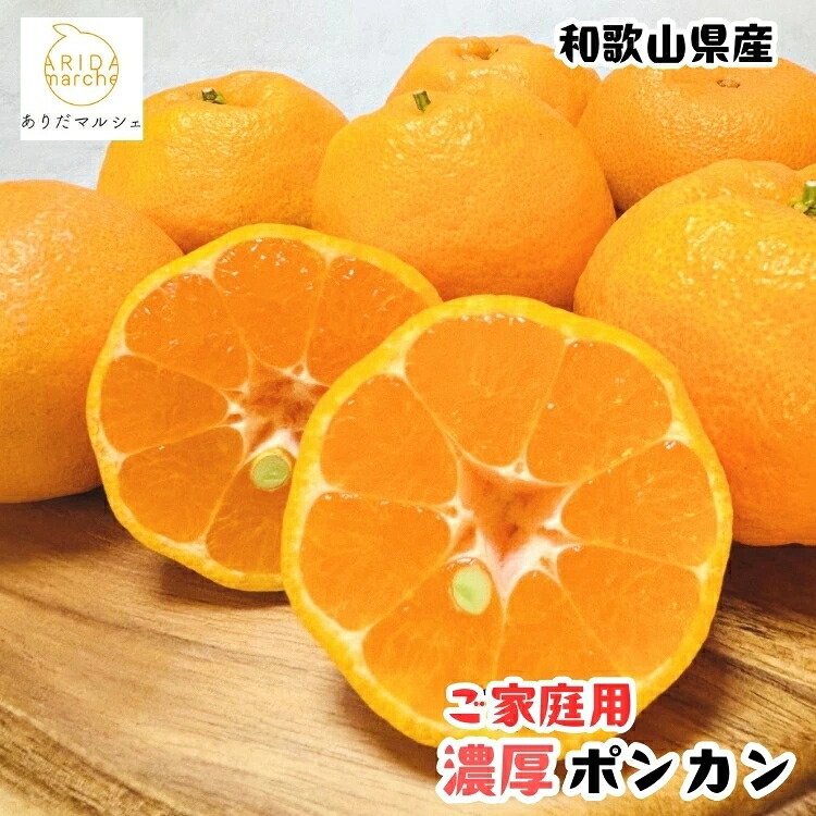 【ふるさと納税】【先行予約】 極甘 柑橘 有田育ちの 濃厚 ポンカン（訳あり 家庭用） / みかん 柑橘 果物 フルーツ 甘い 和歌山 晩柑 有田 ※2027年1月上旬～2月下旬に順次発送 ※北海道・沖縄・その他離島地域は発送不可｜和歌山県紀美野町