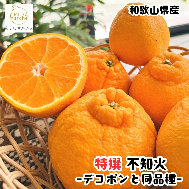 【ふるさと納税】 有田育ちの濃厚 不知火 ( デコポン と同品種)( 特選 ) / しらぬい みかん 甘い 和歌山 有田 柑橘 果物 フルーツ ※2027年1月下旬～3月下旬に順次発送 ※北海道・沖縄・その他離島地域は発送不可｜和歌山県紀美野町 19,170円