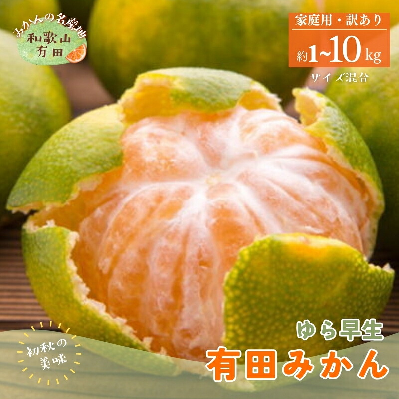 【ふるさと納税】【初秋の美味】有田育ちのご家庭用訳ありゆら早生有田みかん【選べる容量】【2026年10月中旬～11月上旬頃に順次発送予定】 / 和歌山 ミカン オレンジ 柑橘 フルーツ 果物 くだもの 旬※北海道・沖縄・離島配送不可