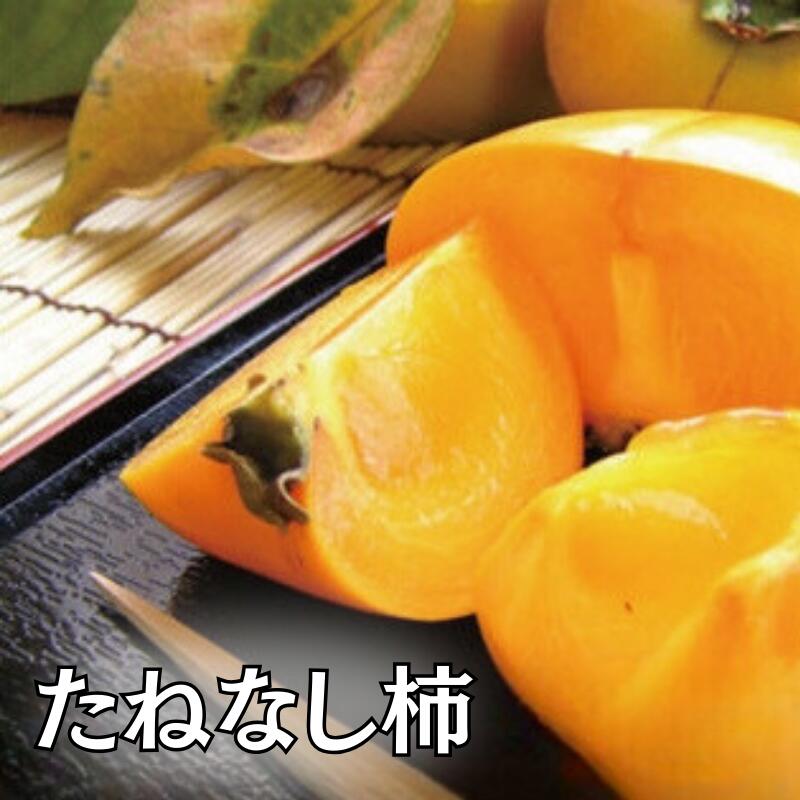 【ふるさと納税】【選べる容量】採れたてタネなし柿※10月中旬～10月下旬頃発送予定(日付指定不可)/ フルーツ 果物 くだもの 食品 人気 おすすめ 送料無料 和歌山 かき カキ 柿
