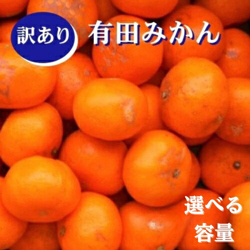 【ふるさと納税】 訳あり 紀州 有田 みかん 選べる容量 / 温州みかん 甘い 家庭用 キズ 柑橘 果物 和歌山 ※2026年11月下旬~2027年1月中旬頃に順次発送予定 ※北海道・沖縄・離島配送不可|和歌山県紀美野町