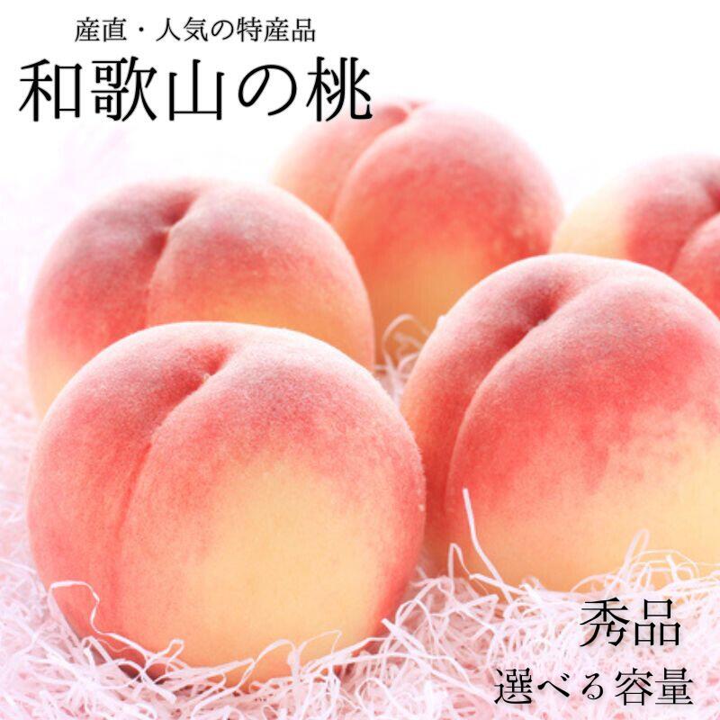 【ふるさと納税】【選べる容量】和歌山の桃 秀品 【選べる容量】 ※2025年6月下旬～8月上旬頃順次発送(お届け日指定不可) /もも モモ 桃 フルーツ 果物 人気 旬