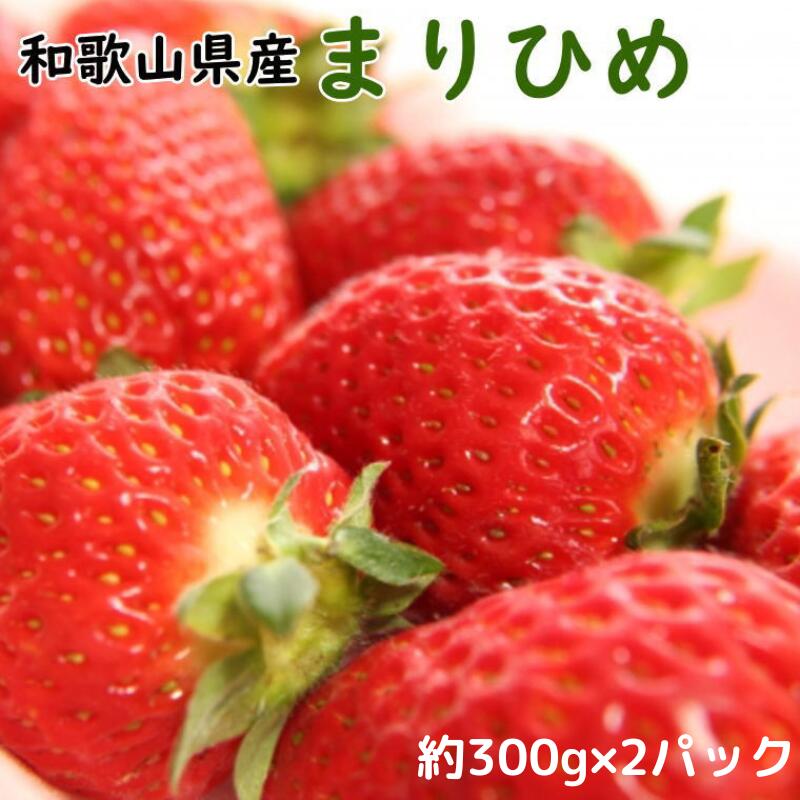 【ふるさと納税】 いちご 和歌山県産ブランドいちご「まりひめ」約300g×2パック入り ※2026年1月中旬～2026年2月下旬頃順次発送（お届け日指定不可）イチゴ  苺 まりひめ 和歌山 オリジナル 甘味 濃厚 ジューシー