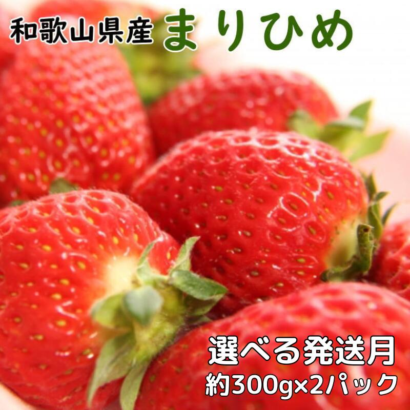 【ふるさと納税】 いちご 和歌山県産ブランドいちご「まりひめ」約300g×2パック入り 【選べる発送月】 【3月～5月発送】（お届け日指定不可）イチゴ  苺 まりひめ 和歌山 オリジナル 甘味 濃厚 ジューシー