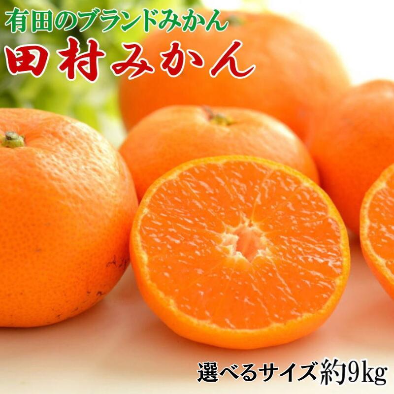 【ふるさと納税】 みかん 【ブランドみかん】田村みかん 約9kg 【選べるサイズ】 2Lサイズ 3Lサイズ【2026年11月下旬～2026年12月下旬頃より順次発送】 / 果物 フルーツ 柑橘 オレンジ 和歌山 有田 有田みかん｜和歌山県紀美野町