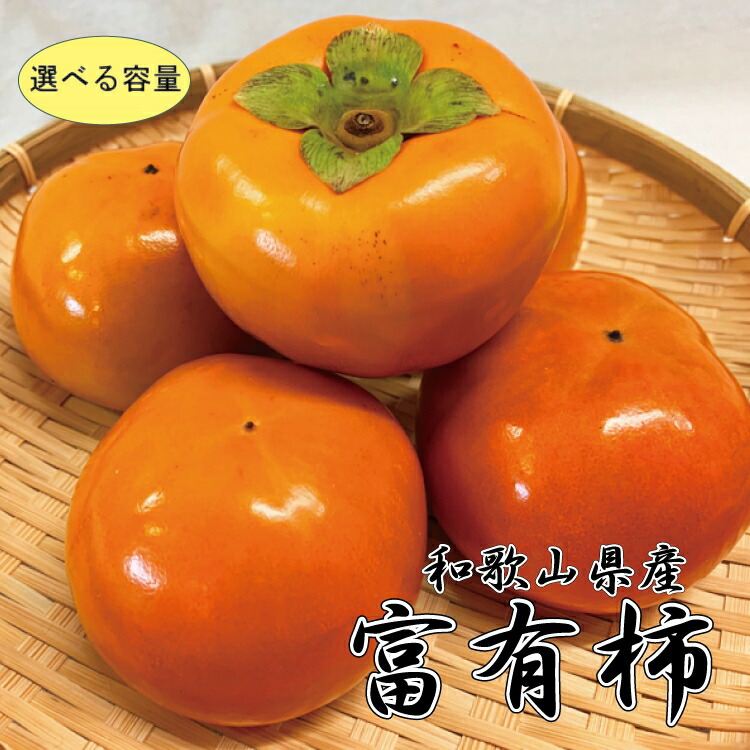 【ふるさと納税】 和歌山秋の味覚　富有柿　【選べる容量】　※2025年11月上旬頃～2025年12月上旬頃発送（お届け日指定不可） / 柿 フルーツ 先行予約 人気 果肉 果汁