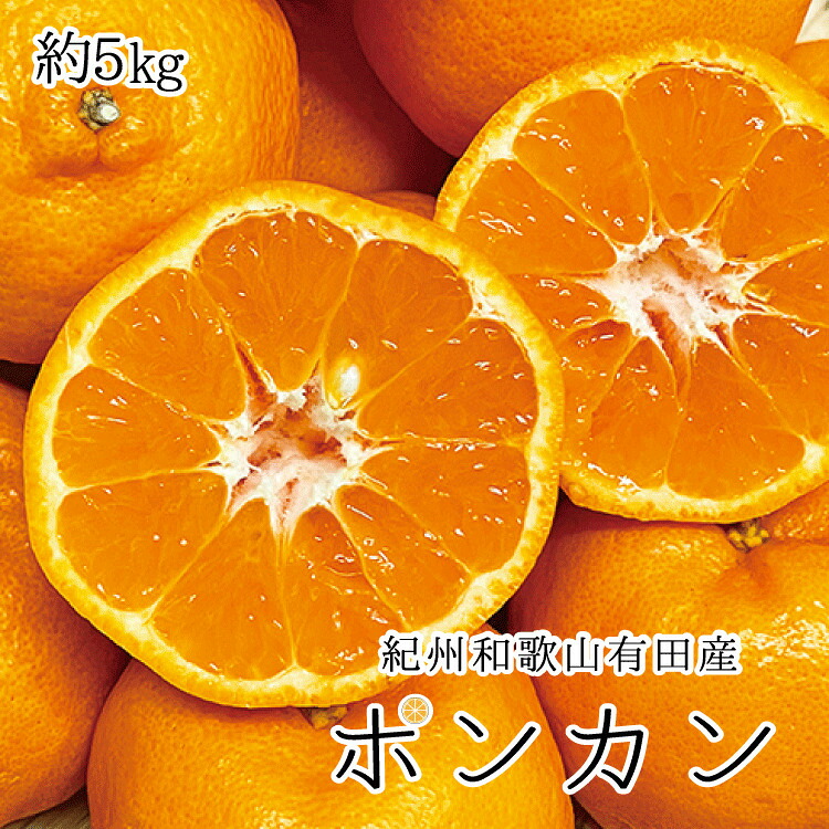 【ふるさと納税】紀州和歌山有田産ポンカン　５ｋｇ ≪国産 有田産 和歌山産 フルーツ 果物 紀州≫※2027年1月下旬頃～2027年2月上旬頃に順次発送予定｜和歌山県紀美野町