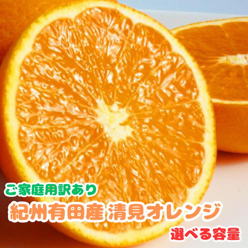 【ふるさと納税】【ご家庭用訳アリ】紀州有田産清見オレンジ 5kg / 7.5kg ※2025年3月下旬頃～2025年4月中旬頃に順次発送予定(お届け日指定不可)
