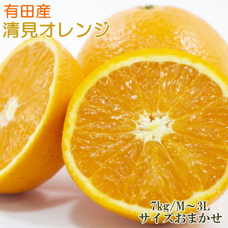 付与 厳選 有田産清見オレンジ約7kg サイズおまかせ 秀品 ※2023年2