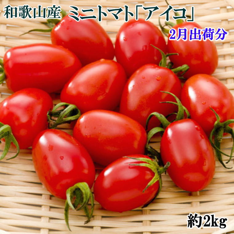 和歌山産ミニトマト「アイコトマト」約2kg(S・Mサイズおまかせ)≪トマト 野菜 アイコ プチトマト≫※2023年2月上旬〜下旬頃に順次発送予定※北海道・沖縄・離島への配送不可※着日指定送不可
