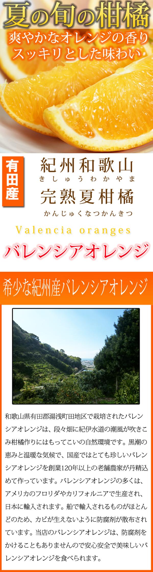 ふるさと納税 秀品 稀代な国建設バレンシアオレンジ 国産 有田産 和歌山産 フルーツ 果物 21老齢6月中旬切掛 22年7月中旬頃に順次逓送予測 Digitalland Com Br