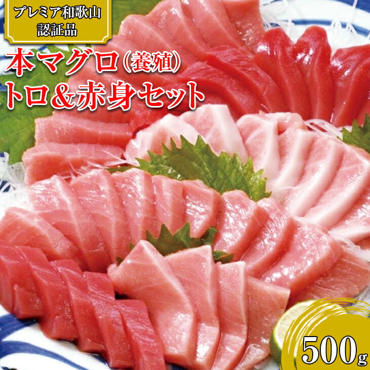 プレミア和歌山認証品 和歌山県串本産本マグロ 赤身セット 養殖 トロ プレミア和歌山認証品 和歌山県串本産本マグロ