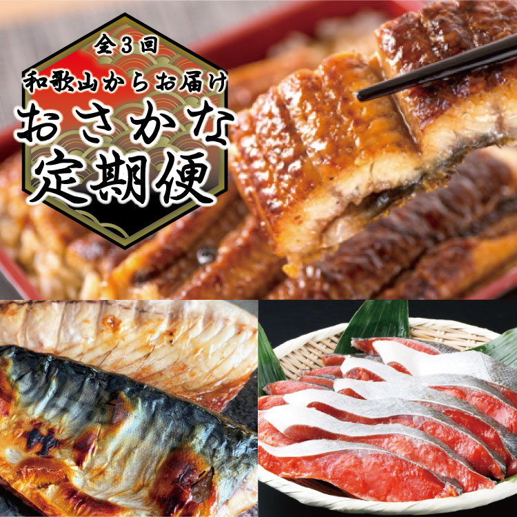 【ふるさと納税】【全3回定期便】和歌山からお届け おさかな定期便　サバ・ウナギ・サケ｜和歌山県紀美野町