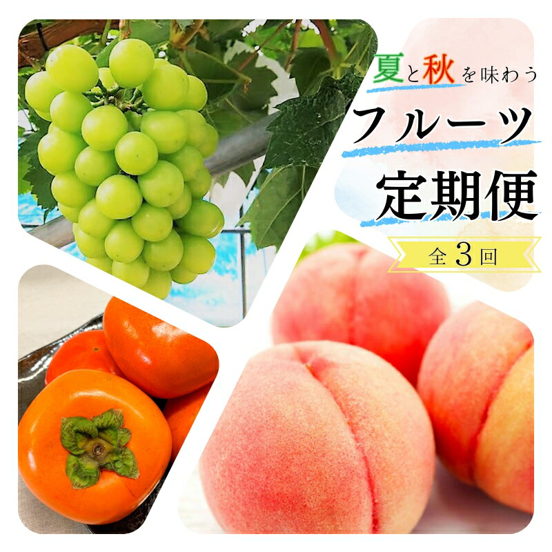 【ふるさと納税】【全3回】 夏と秋を味わうフルーツ定期便 (桃・マスカット・柿)｜和歌山県紀美野町