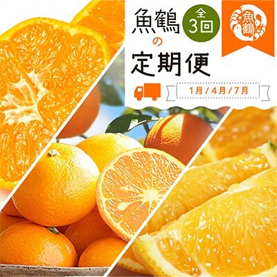 【ふるさと納税】【全3回】紀州和歌山産旬の柑橘定期便 (みかん・なつみ・バレンシア)