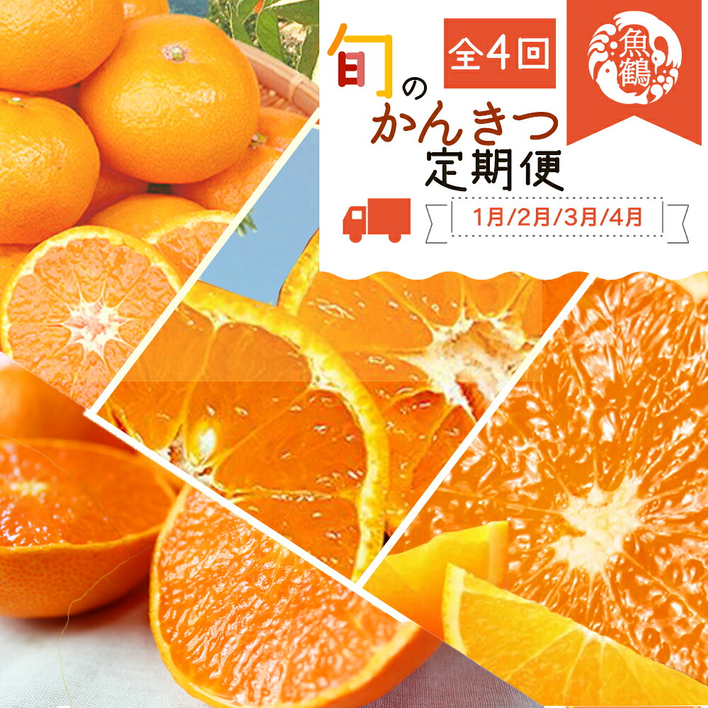 【ふるさと納税】【全4回】旬の柑橘定期便 / みかん ミカン 柑橘 オレンジ 果物 くだもの フルーツ定期便 和歌山 ※離島への配送不可｜和歌山県紀美野町