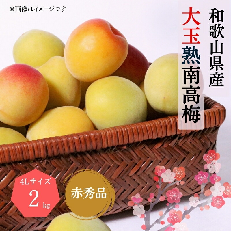 【ふるさと納税】【梅干・梅酒用】大玉4Lサイズ約2kg 熟南高 生梅 赤秀品＜2025年6月上旬～7月7日発送予定＞【ART01】 | フルーツ 果物 くだもの 食品 人気 おすすめ 送料無料