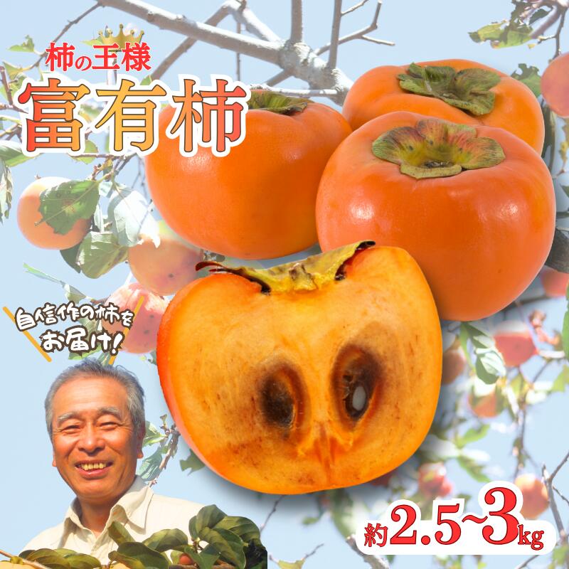 【ふるさと納税】】~こんな美味しいの「食べるのはじめてや!」の感動をお届けします。~先行予約 富有柿 約2.5~3kg 秀優混合 サイズ混合 柿 富有柿 和歌山県 かつらぎ町 秋の味覚 フルーツ 果物 甘い 美味しい 旬 贈り物【2026年11月中旬~12月下旬頃発送予定】|和歌山県かつらぎ町