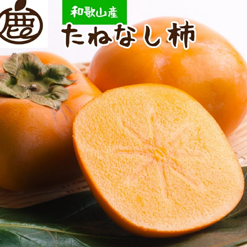 【ふるさと納税】 厳選 たねなし柿 約1kg【刀根早生・平核無柿（ひらたねなしかき）】【カキ・種無柿・種無し柿・種なし柿・無核柿】＜2026年10月上旬～11月中旬ごろ順次発送＞ | フルーツ 果物 くだもの 食品 人気 おすすめ 送料無料 先行予約 数量限定 種無し たねなし