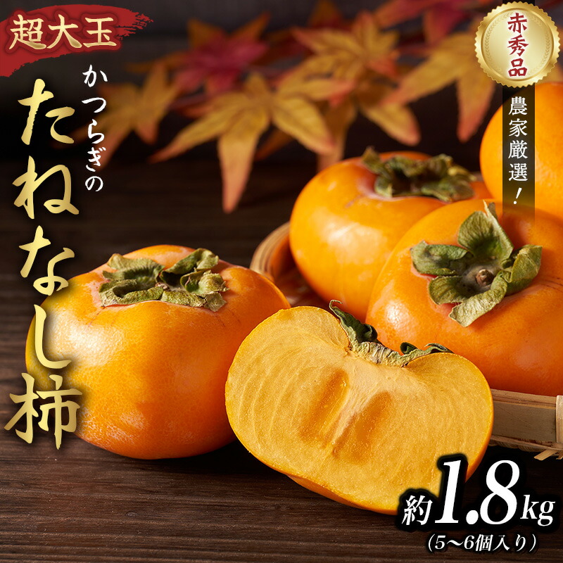 【ふるさと納税】柿 種無し 赤秀品 超大玉 約1.8kg 5～6個 【先行予約】【2025年9月下旬から10月下旬頃発送】【KG4】