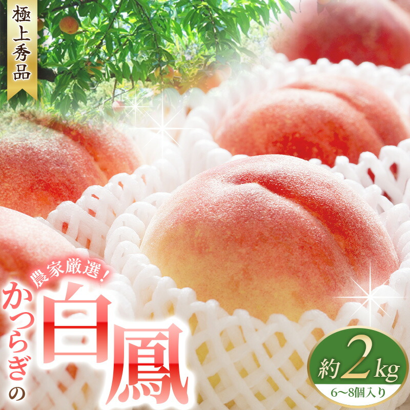 【ふるさと納税】 桃 白鳳  約2kg 6～8個 ☆秀品☆《2025年6月末頃より順次発送》 桃の王様！ こだわり農家厳選 桃 もも モモ 果物 くだもの フルーツ 先行予約 白鳳 人気 和歌山の桃 贈答 贈り物 プレゼント 数量限定 お取り寄せ かつらぎ町 くしがきの里 送料無料 【KG12】
