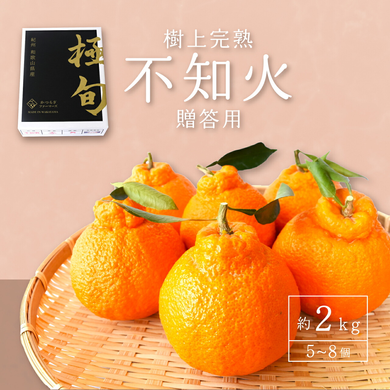 【ふるさと納税】 ☆贈答用化粧箱入☆ 不知火 樹上完熟 約2kg 5～8個入 【2027年2月下旬～３月下旬頃発送】 不知火 しらぬい 果物 くだもの 柑橘 フルーツ 先行予約 贈答 贈り物 プレゼント 数量限定 お取り寄せ 人気 和歌山県 かつらぎ町 くしがきの里 送料無料【KG10】｜和歌山県かつらぎ町