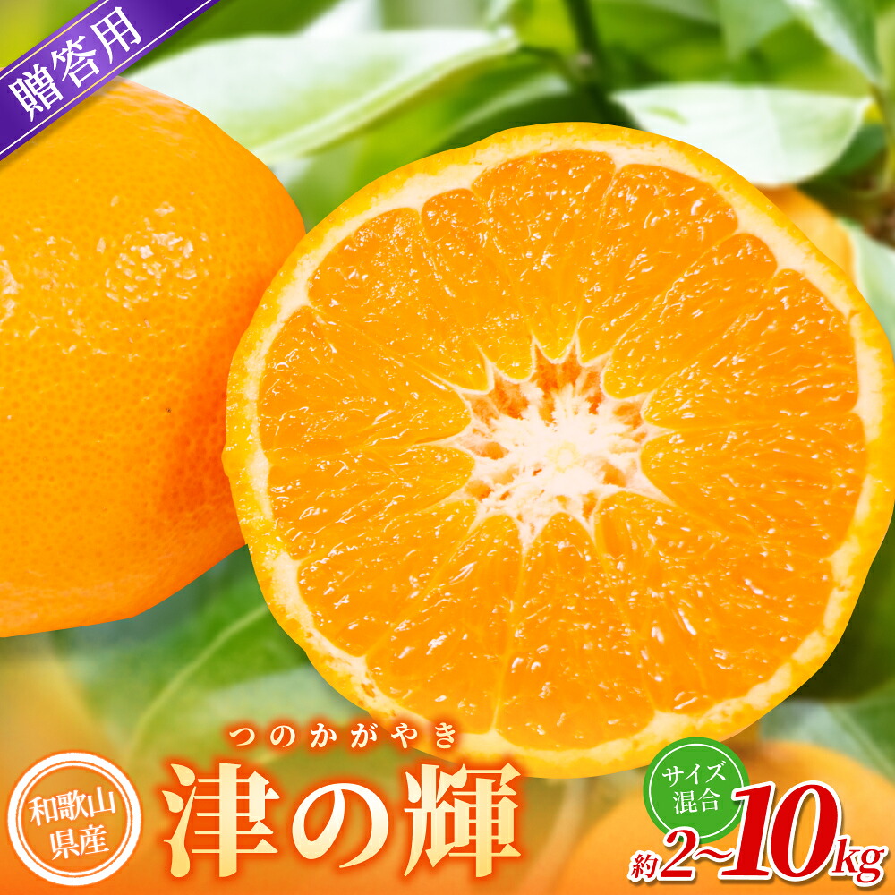 【ふるさと納税】 【贈答用】 森本農園の手選別 津の輝 約2kg 約3kg 約5kg 約10kg 和歌山県産 L～2Lサイズ 【北海道・沖縄・離島配送不可】【2027年2月上旬～2027年4月中旬頃に順次発送】｜和歌山県かつらぎ町