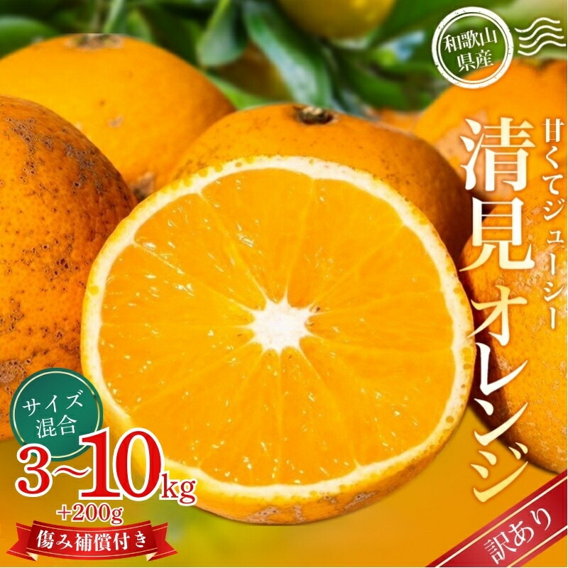 【ふるさと納税】 【訳あり】 森本農園の手選別 清見オレンジ 約 2kg 6kg 8kg 10kg サイズ混合 【2026年2月上旬～5月中旬頃に順次発送】 訳あり オレンジ 柑橘 フルーツ 果物 くだもの 旬 産地直送 6000円 10000円 12000円 13000円 送料無料 和歌山県 かつらぎ町
