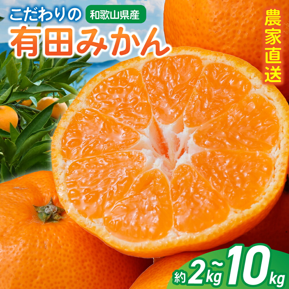 有田 みかん