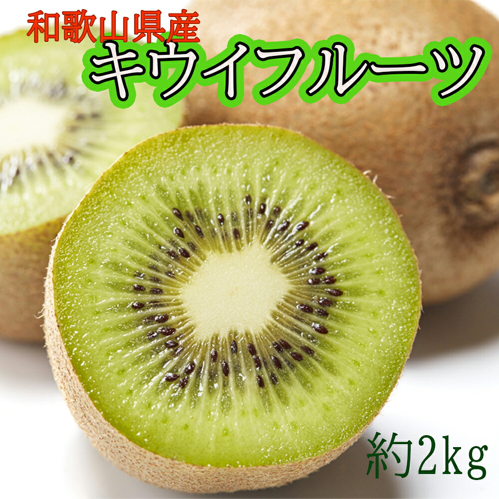 【ふるさと納税】和歌山県産キウイフルーツ約2kg(サイズ混合)【2026年11月下旬~2027年2月下旬頃順次発送】/キウイ 果物 甘い 甘酸っぱい 美味しい 和歌山 【TM-tecj1039】|和歌山県かつらぎ町